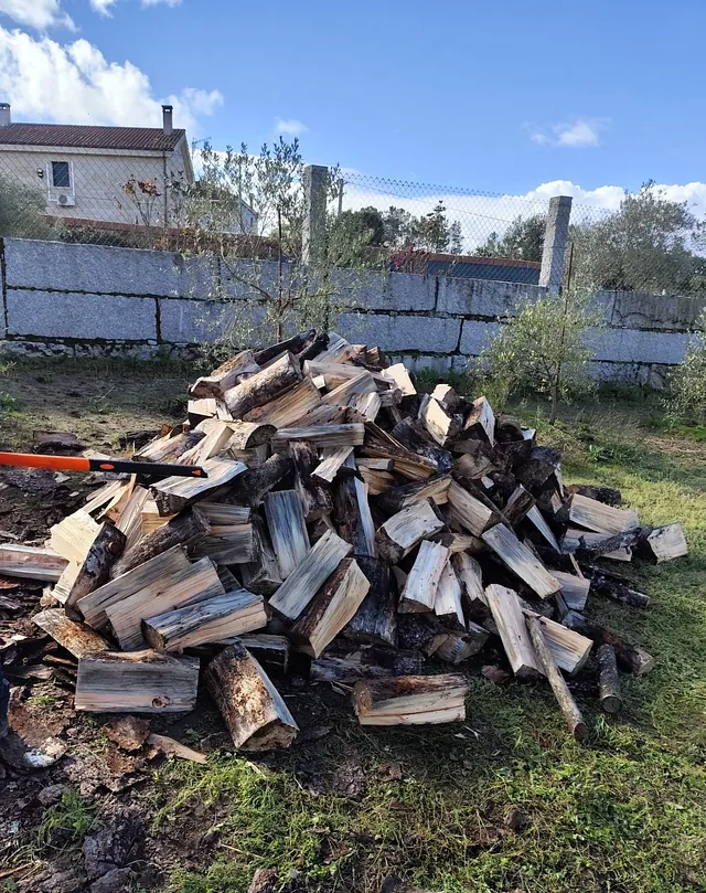 talando un árbol